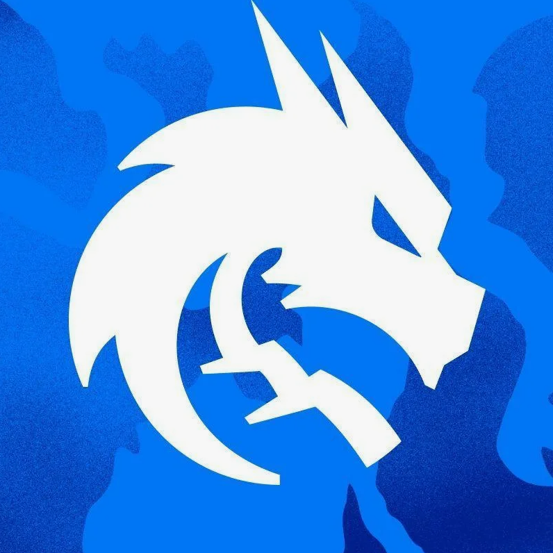 TeamSpiritFan